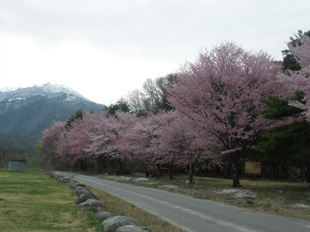 Holiday Cottage Green Valley Hakuba Eksteriør bilde